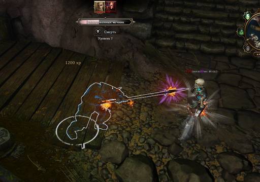 Divinity: Original Sin - Divinity:Original Sin: Маги и спутники.